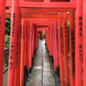 Tokyo Hidden Gems Video Guide – 18 mins